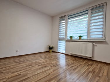 Mieszkanie przy lesie