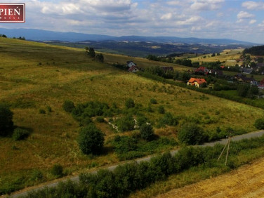 Działka budowlana Jeżów Sudecki sprzedam