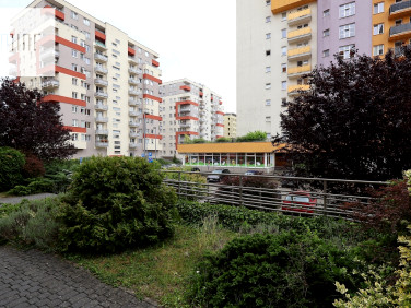 Lokal Kraków