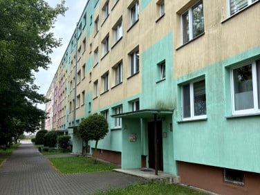 Mieszkanie Brodnica