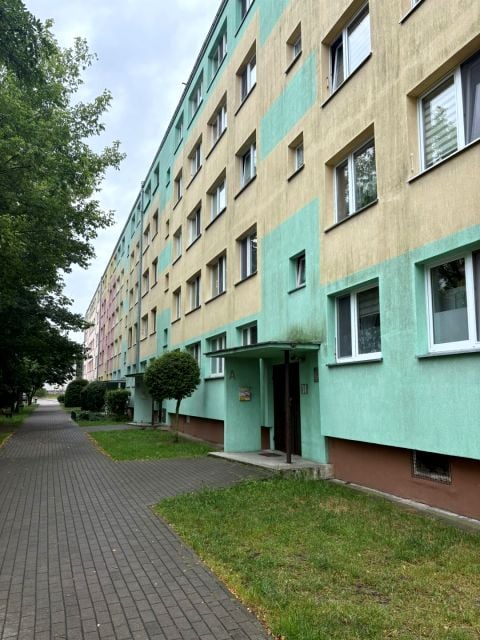 Mieszkanie Brodnica