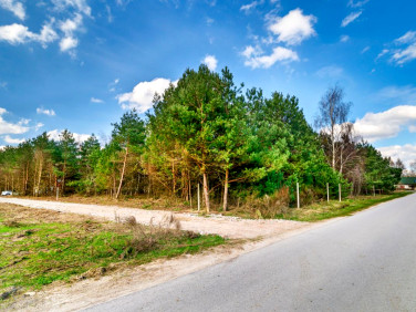 Działka budowlana Zaręby