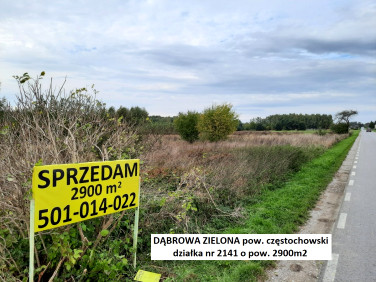 Działka rolna Dąbrowa Zielona