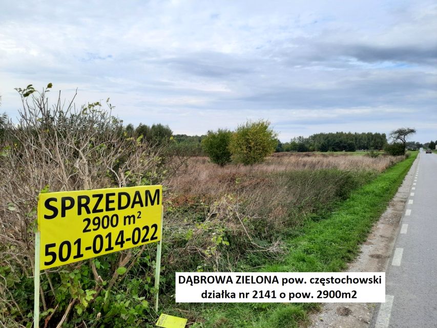 Działka rolna Dąbrowa Zielona