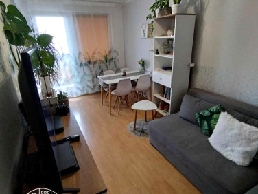 Mieszkanie Jelenia Góra
