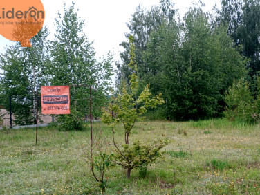 Działka Górna Wola