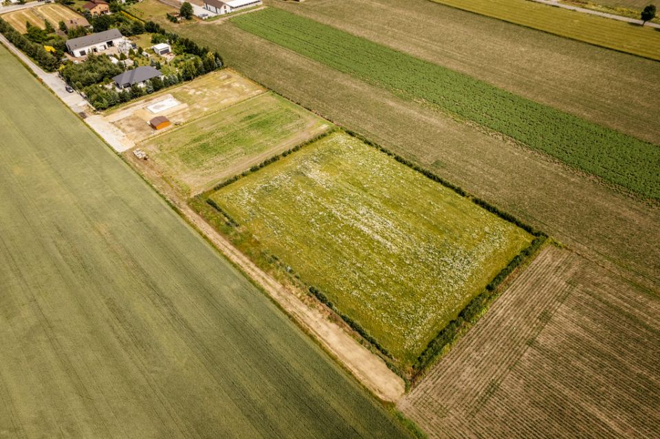 Działka przy lesie