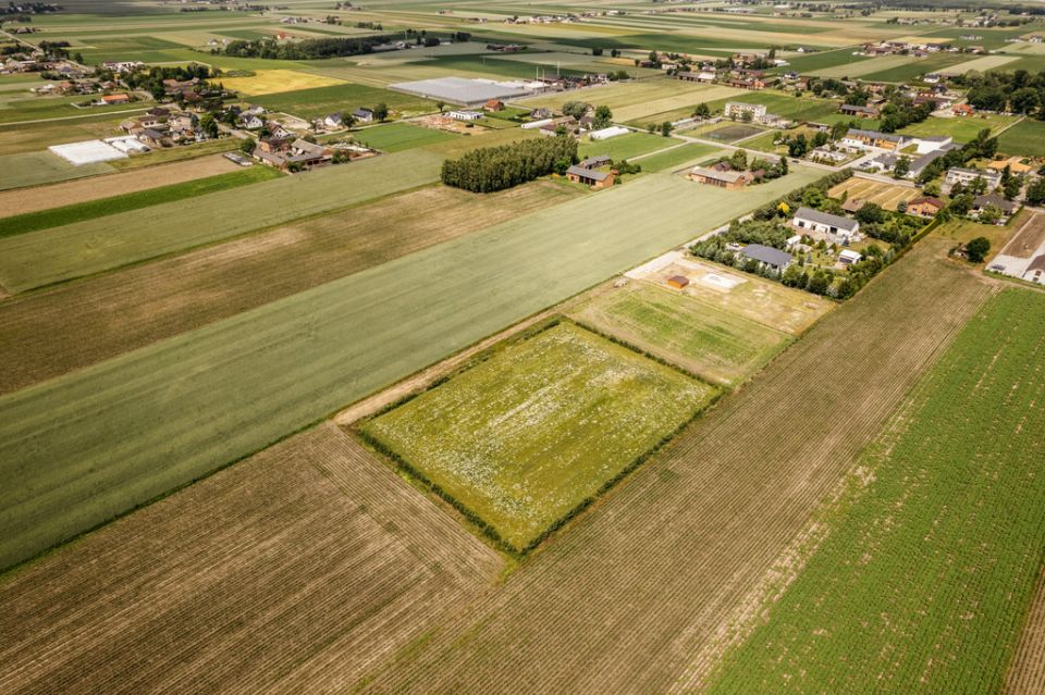 Działka budowlana Żelazków