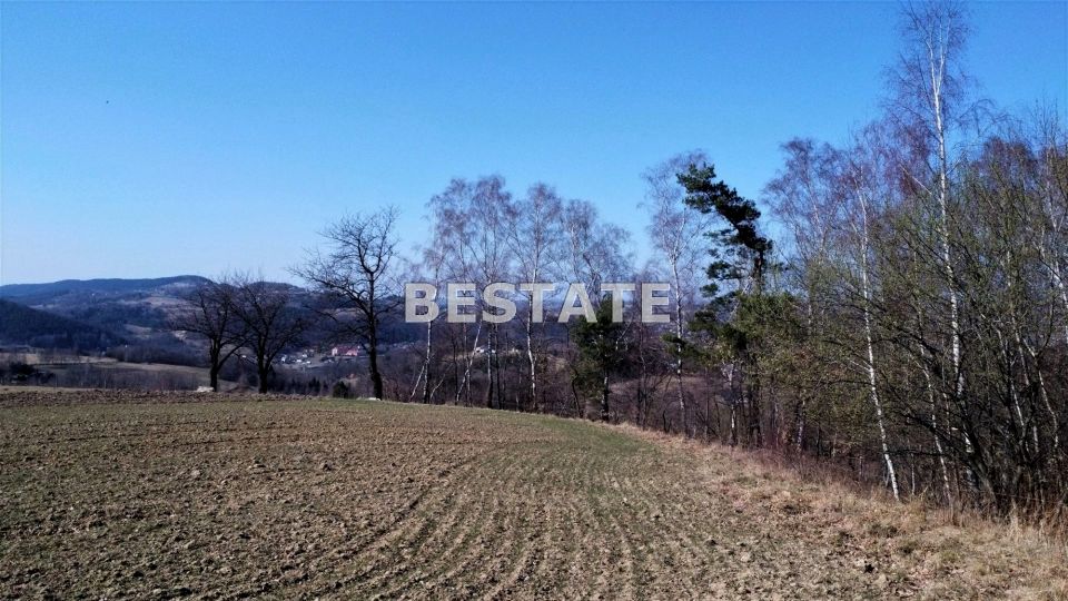 Działka budowlana Piaski-Drużków
