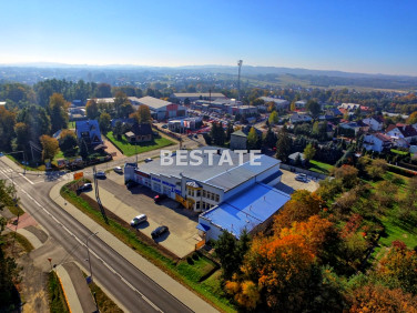 Lokal Pilzno