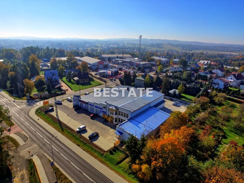 Lokal Pilzno