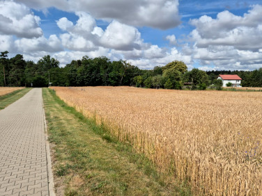 Działka Radzyny