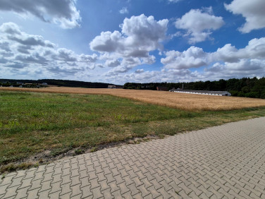 Działka Radzyny