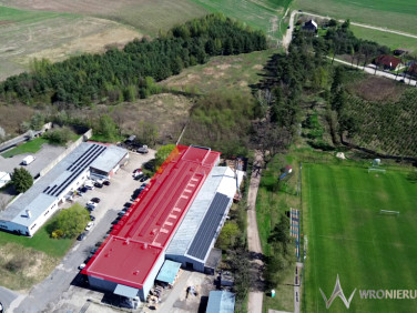Lokal Oborniki Śląskie