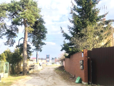 Działka przy lesie