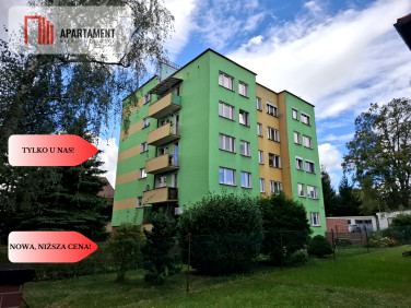 Mieszkanie Wołów