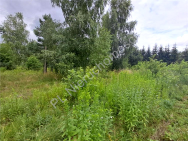 Działka budowlana Jastrzębnik