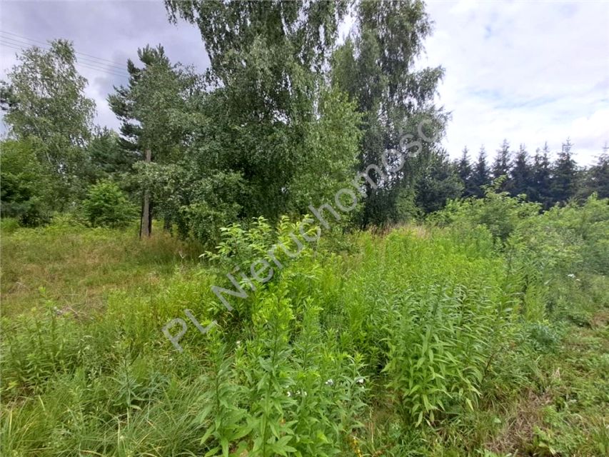 Działka budowlana Jastrzębnik