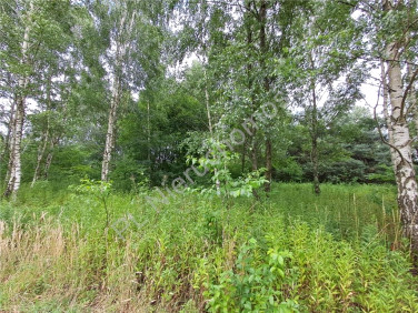 Działka budowlana Jastrzębnik sprzedam