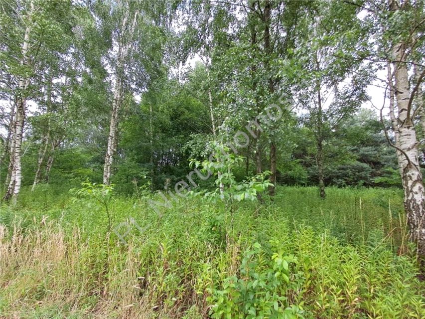 Działka budowlana Jastrzębnik sprzedam