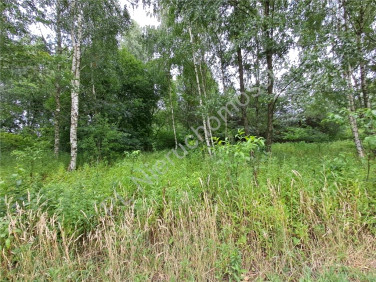 Działka Jastrzębnik