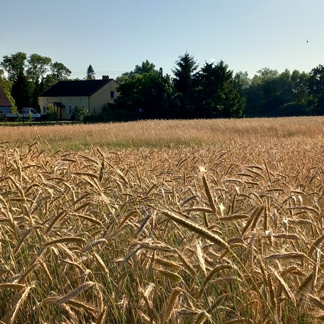 Działka budowlana Kukułowo
