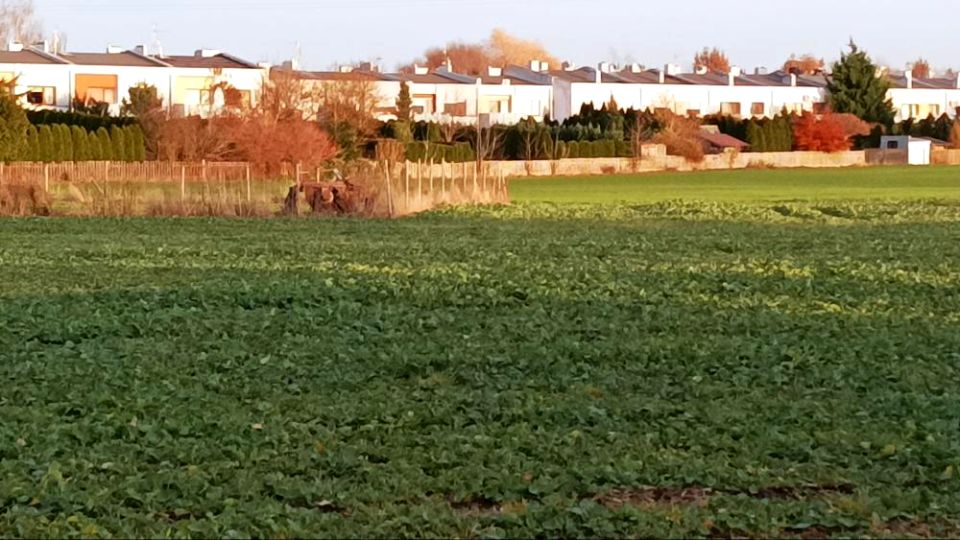 Zdjęcie 3