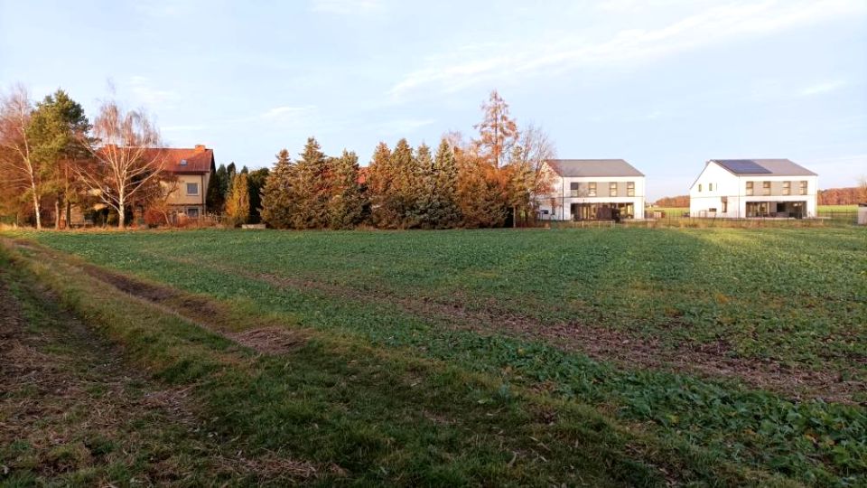 Zdjęcie 2