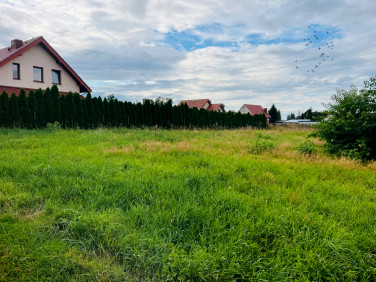 Działka budowlana Rakoszyce sprzedam