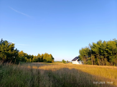 Działka Pilzno