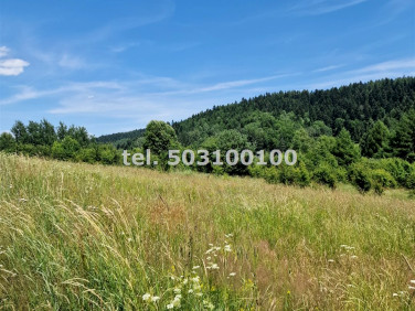 Działka inwestycyjna sprzedam