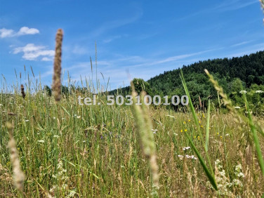 Działka inwestycyjna Krynica-Zdrój