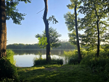 Działka budowlana Zborowo