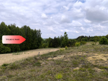 Działka Dylewo