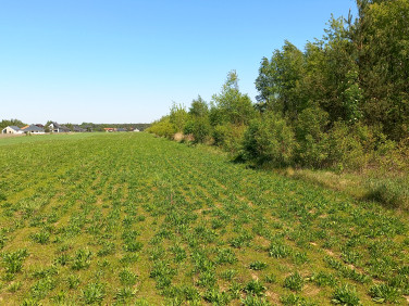 Działka nad jeziorem
