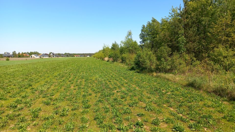 Działka nad jeziorem