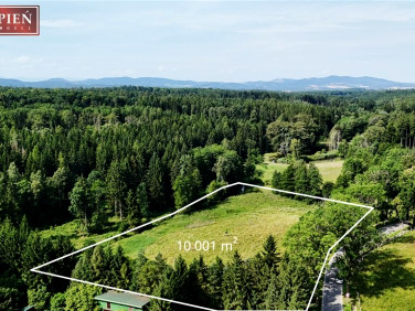 Działka Muchów