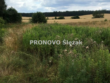 Działka budowlana Rościsławice