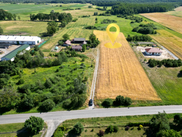 Działka Świerszczów