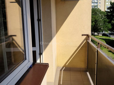 Mieszkanie Dąbrowa Górnicza