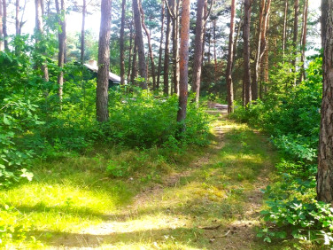 Działka Kuby-Młyny