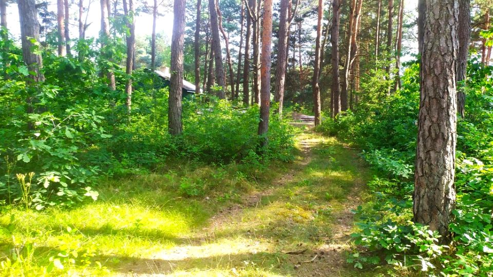 Działka Kuby-Młyny
