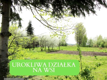Pusta działka Namysłów