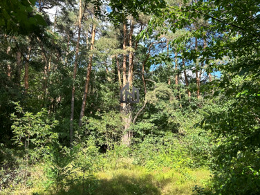 Działka budowlana Józefów sprzedam
