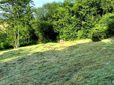 Działka Olchowiec