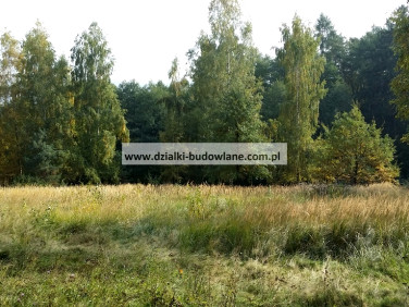 Działka rolna Strzegomiany
