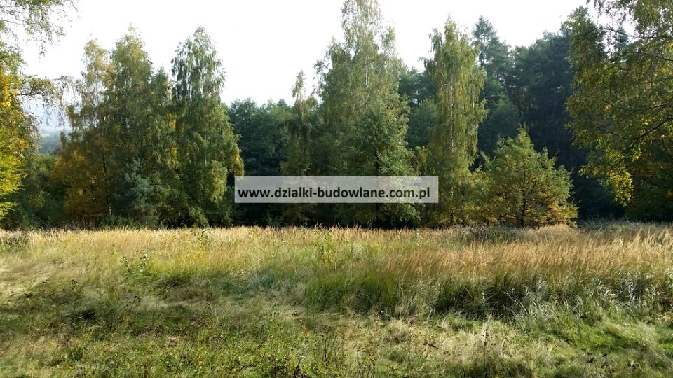 Działka rolna Strzegomiany