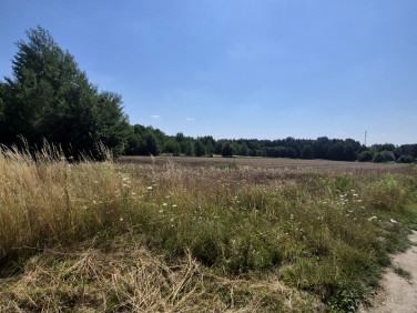 Działka budowlana Kozłów