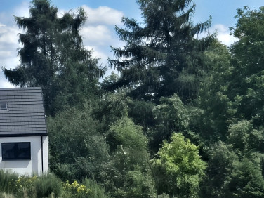 Mieszkanie Niepołomice