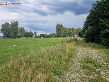 Działka usługowa Nowy Targ